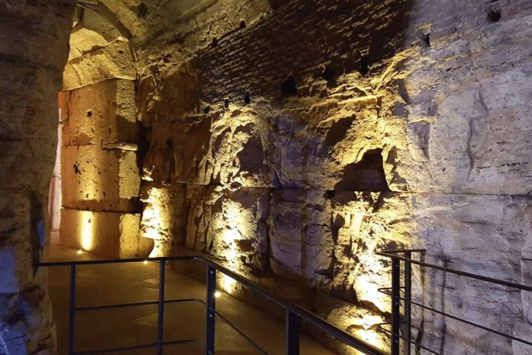 🏆 Colosseum Underground Tour with Arena, Palatine Hill & Roman Forum