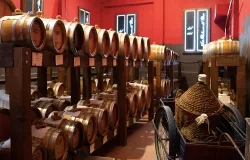 Aceto Balsamico del Duca di Adriano Grosoli