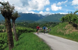 Slow Bike in the Prosecco Hills