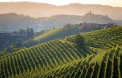 Barolo & Langhe wine route