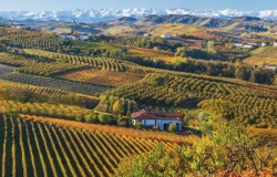 Piedmont Barolo Wine Hills cycling