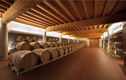 Lazio: Latina Wine Escape